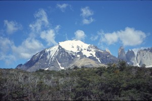 0357 PAINE - cesta od Laguna Amarga.jpg